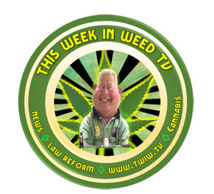 This-week-in-weed-tv