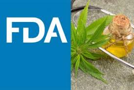 CBD and the FDA –  What Should the Hemp Industry Expect?
