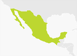 A Long Road to Legalization: How Mexico Will Fit in the Global Cannabis Economy