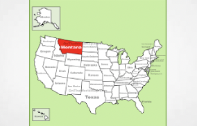 Gravis Law: Navigating the Complex Landscape of Cannabis Financing in Montana: Legal Frameworks, Restrictions, and Practical Solutions